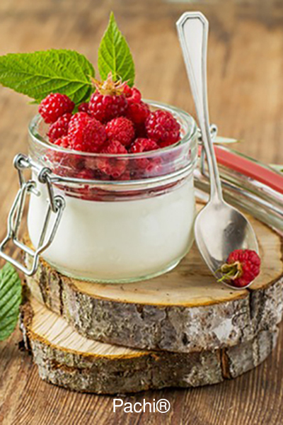 Salsa de Yogur Natural Cremoso bajo en grasa