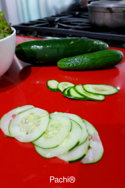 Lechuga de Hoja Roja con Pepino y Calabacín
