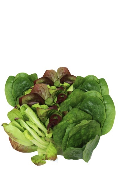 Lechuga Bibb con uvas pasas y maní
