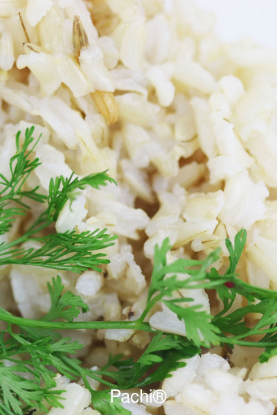 Arroz Integral Básico