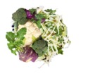 Slaw Salad